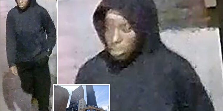 Heartless mugger pummels woman, 73, grabs bag in NYC: cops