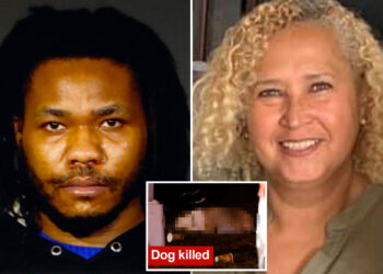 Man arrested for breaking into Manhattan murder victim's apartment in April is person of interest in her shooting death