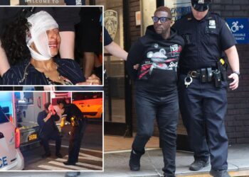 NYC Whole Foods attacker busted 7 other times: NYPD sources