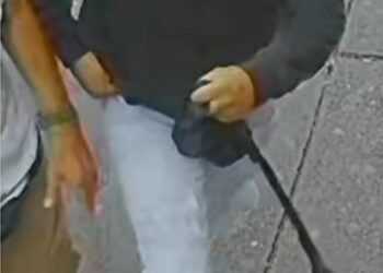 A grab from surveillance footage, showing the suspect in the Oct. 6 Bronx stabbing of a 16-year-old boy.