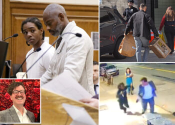 NYC teen suspect Brian Dowling charged with killing beloved activist Ryan Carson