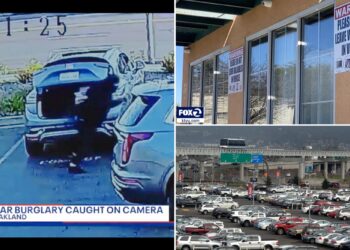 Oakland Airport Plaza plagued by smash-and-grab thieves