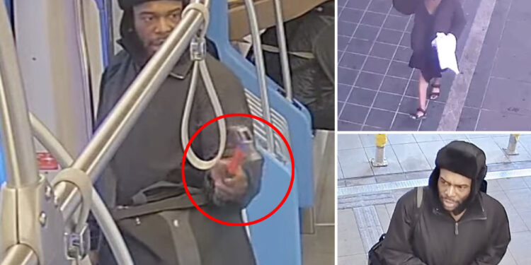 Seattle man seen with hammer used to attack two strangers: cops