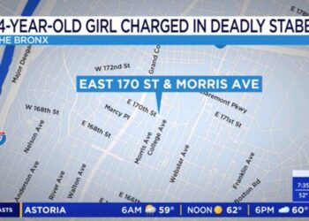 Jose Valarezo, 35, was stabbed to death in the Bronx Tuesday — and the only person collared is a 14-year-old girl, now charged with murder, who allegedly stood across the street during the bloody fight