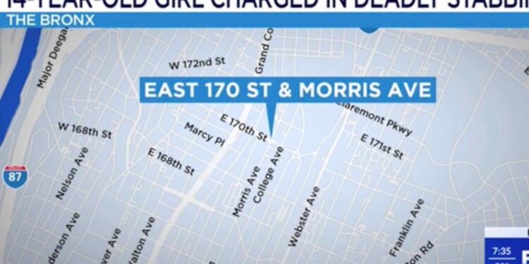 Jose Valarezo, 35, was stabbed to death in the Bronx Tuesday — and the only person collared is a 14-year-old girl, now charged with murder, who allegedly stood across the street during the bloody fight