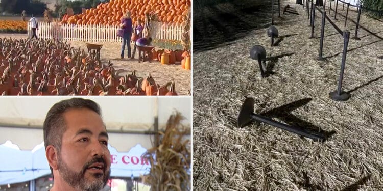 Vandals wreck Spina Farms Pumpkin Patch in Morgan Hill
