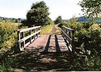 A wooden bridge along a walking and bike path surrounded by bushes and trees.