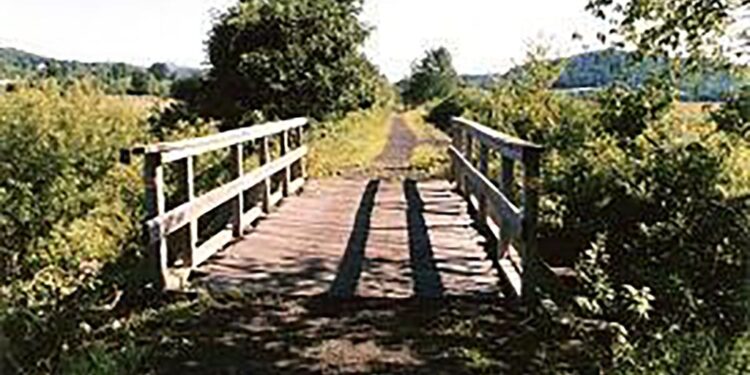 A wooden bridge along a walking and bike path surrounded by bushes and trees.