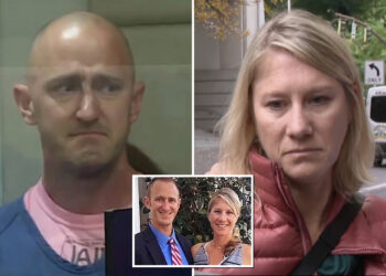 Wife of pilot Joseph Emerson says he ‘never would have knowingly’ hurt anyone