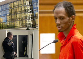 NYC man charged with murdering mom after her body found stuffed in box released from custody due to evidence glitch