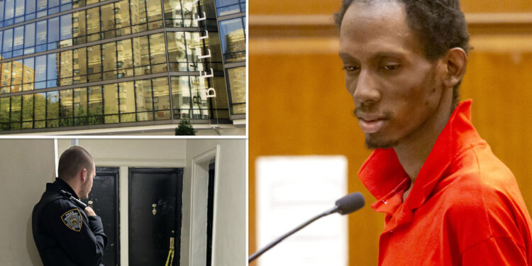 NYC man charged with murdering mom after her body found stuffed in box released from custody due to evidence glitch