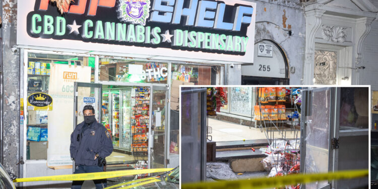 NYC smoke shop worker in custody after shooting attempted robber dead