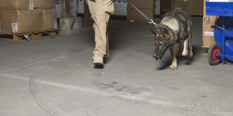 Police Invest in Drug Dogs, Then Exploit Them for Profit