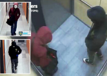 Six teacup poodle puppies stolen from NYC apartment by masked dognappers