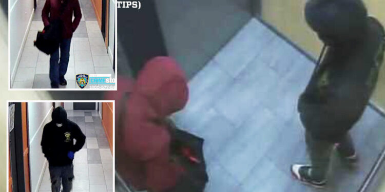 Six teacup poodle puppies stolen from NYC apartment by masked dognappers