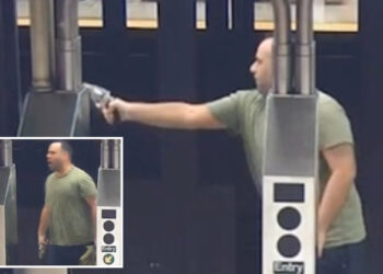 Subway vigilante yelled, 'Get away from her!' just before he opened fire: sources