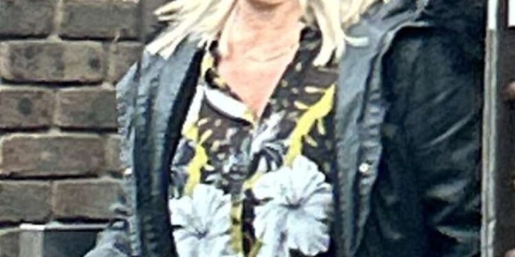 Car vandal Sue Williams