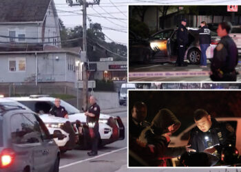 Auto theft zoomed up 17% in Big Apple, is TikTok to blame?