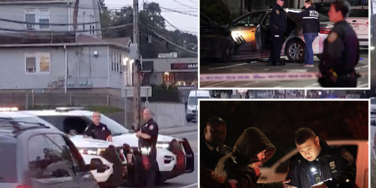 Auto theft zoomed up 17% in Big Apple, is TikTok to blame?