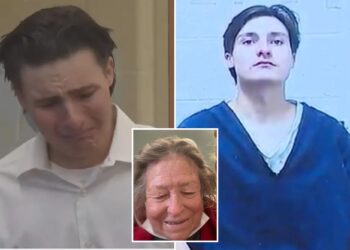 California man Ryan Hopkins who drove while friend shot homeless woman with pellet gun sobs as he is sentenced