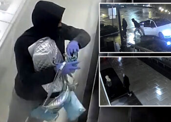 DC thieves steal $250K worth of Chanel: police