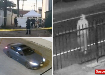 'Do not sleep alone tonight'