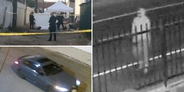 'Do not sleep alone tonight'