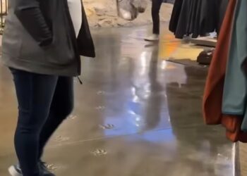 Police are looking for a male suspect who is accused of grabbing a fishing net from the shelf at the hunting and fishing store in Fort Meyers in Florida.