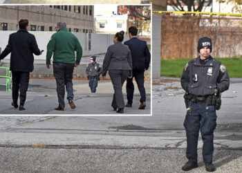 NYC home health aide hit by stray bullet near Brooklyn playground in possible gang-related violence