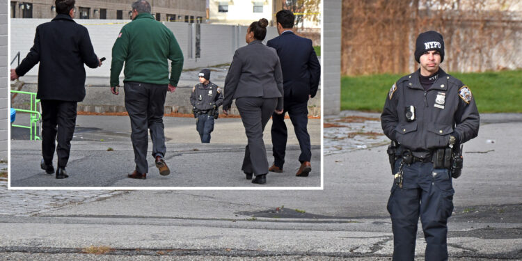NYC home health aide hit by stray bullet near Brooklyn playground in possible gang-related violence