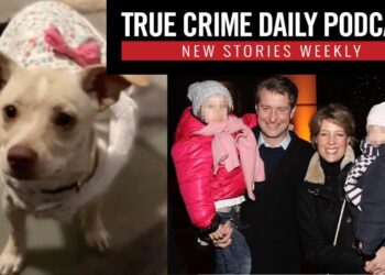 Pregnant dog and two kittens allegedly poisoned by nurse; Children of heiress abducted