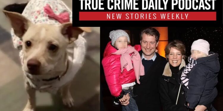Pregnant dog and two kittens allegedly poisoned by nurse; Children of heiress abducted