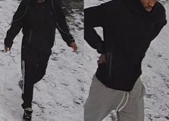 Surveillance images of the suspects in the broad-daylight home invasion at Hygeia Place and Boyd Street in Staten Island.