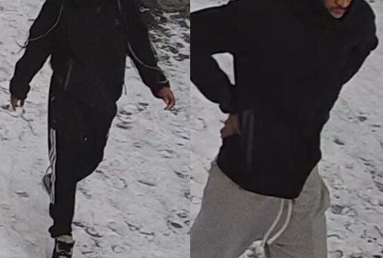Surveillance images of the suspects in the broad-daylight home invasion at Hygeia Place and Boyd Street in Staten Island.