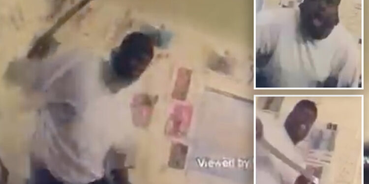 Heart-pounding bodycam footage shows machete-wielding madman attacking NYPD cop