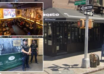 NYC migrant pickpocketing teams are the newest headache for NYPD as trio busted for string of West Village bar thefts