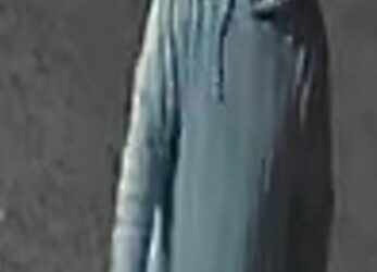 Photo of the suspect