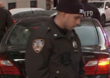 A crowd of several crooks allegedly stormed into the Mackage store near East 68th Street and Madison Avenue around 4:20 p.m and grabbed around $10,000 worth of clothes including pricey jackets