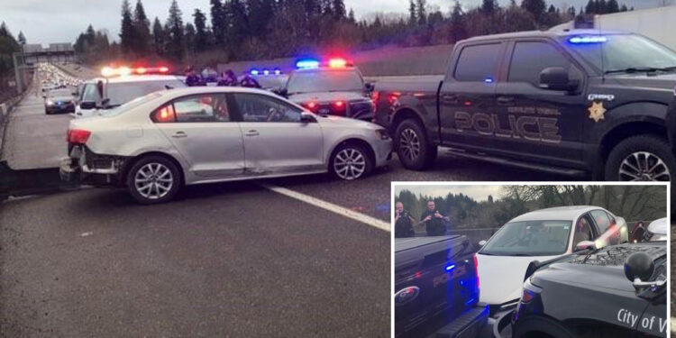 Portland kids jump from car after woman stole it from dad