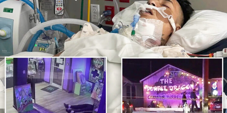 Security guard 'happy to be alive' after suffering 5 bullet wounds in gunfight at Texas weed dispensary