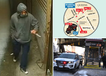 'Turned to look at me'