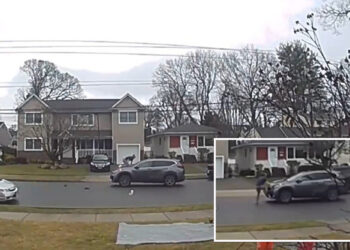 Wild video shows moment LI man jumps on hood of $8K Rolex watch thief's moving car