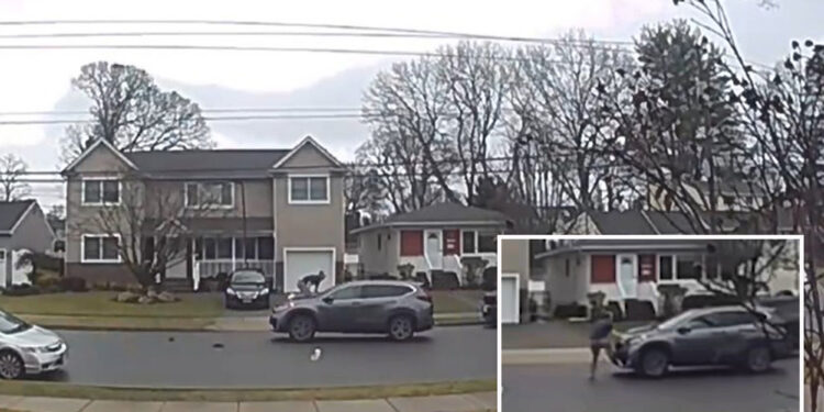 Wild video shows moment LI man jumps on hood of $8K Rolex watch thief's moving car