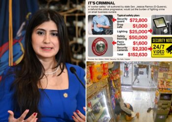 Woke pol's 'worker safety' bill could kill small business: critics