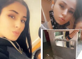 Woman brutally stabbed 14 times by career criminal sues housing authority for unlocked entrance in NYC complex