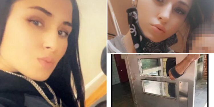 Woman brutally stabbed 14 times by career criminal sues housing authority for unlocked entrance in NYC complex