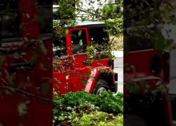 Predator caught preying on boy #truecrime #crime_news