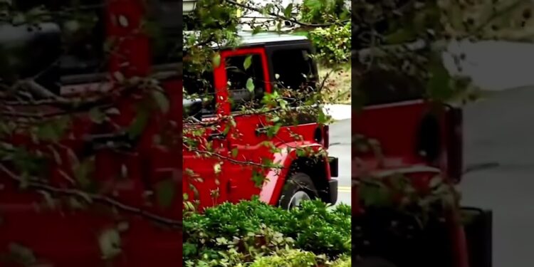 Predator caught preying on boy #truecrime #crime_news