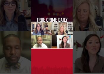 Did Alex Murdaugh murder his wife and son? #truecrime #crime #news