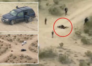 6 killings in likely cannabis dispute spotlight violence and risk in California's illegal pot market